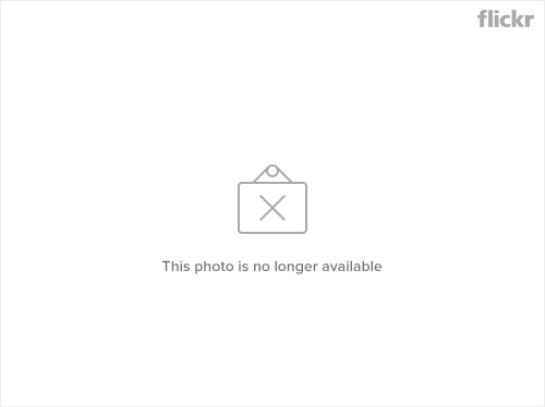 The other half of the #eavsc crew last night