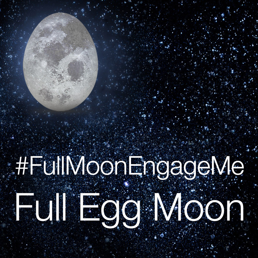full-egg-moon-shop