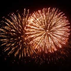 p_lg_SALLYKWITT_a4e11832cba7