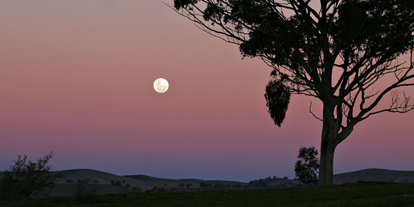 http://www.empireavenue.com/community/page/discuss?c=1617&d=62077595 Pink sky and full moon image