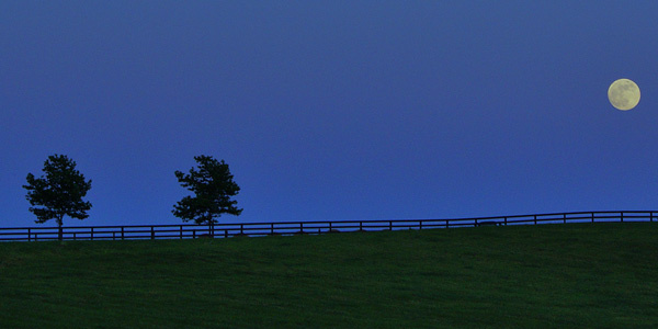 image of full rose moon